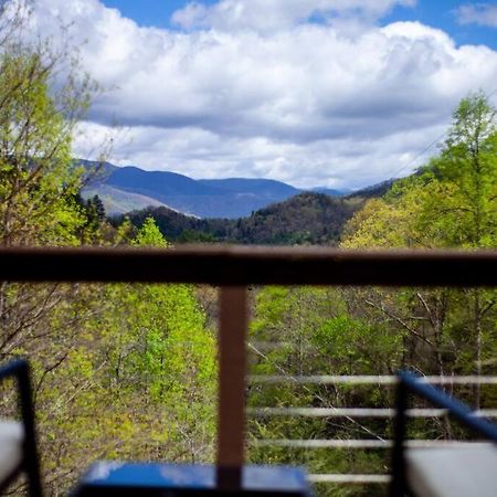 Family Cabin Near Smoky Mtn Entrance Nantahala Robbinsville Eksteriør bilde