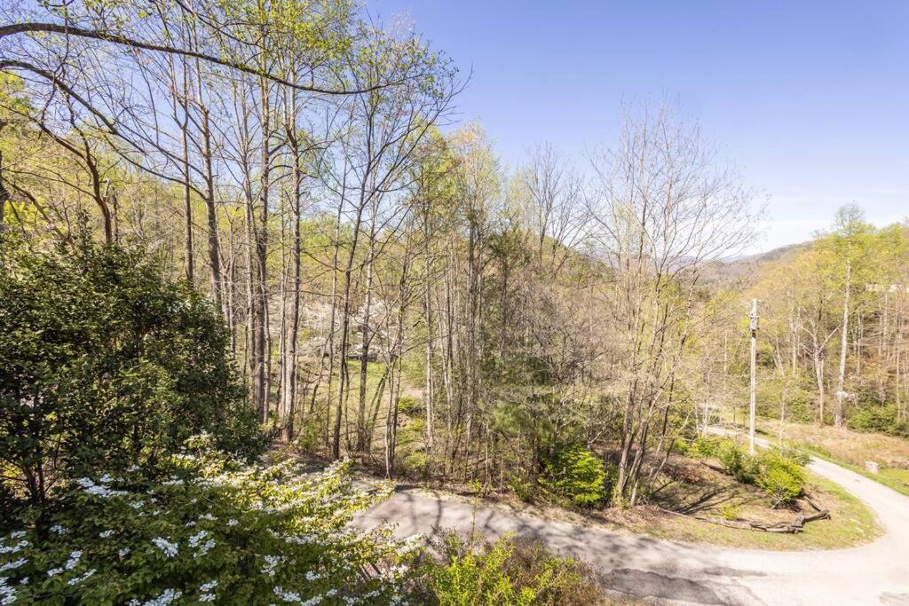 Family Cabin Near Smoky Mtn Entrance Nantahala Robbinsville Eksteriør bilde